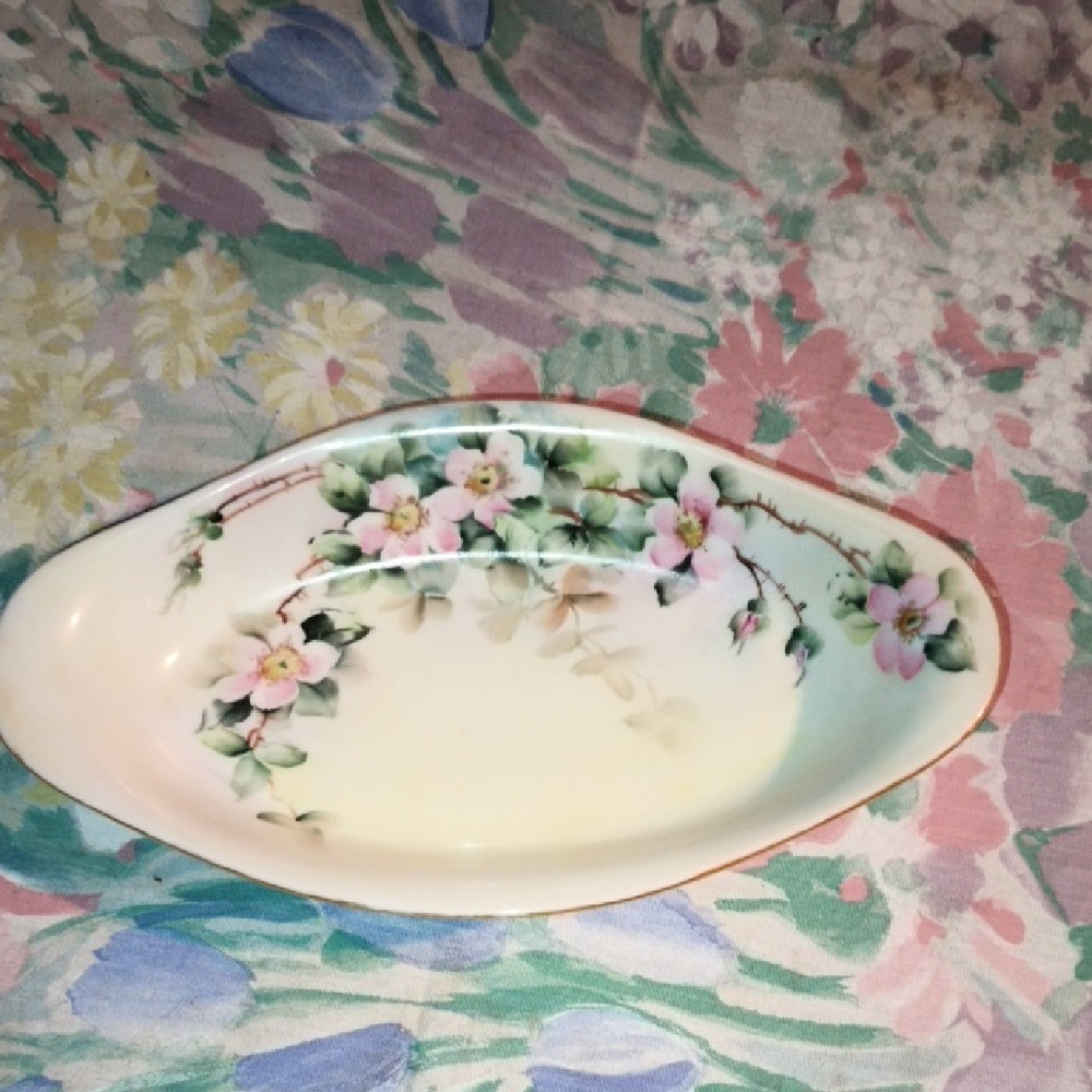 T&V Limoges France Oval Ceramic Dish